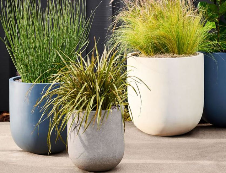 Radius Indoor Outdoor Planters