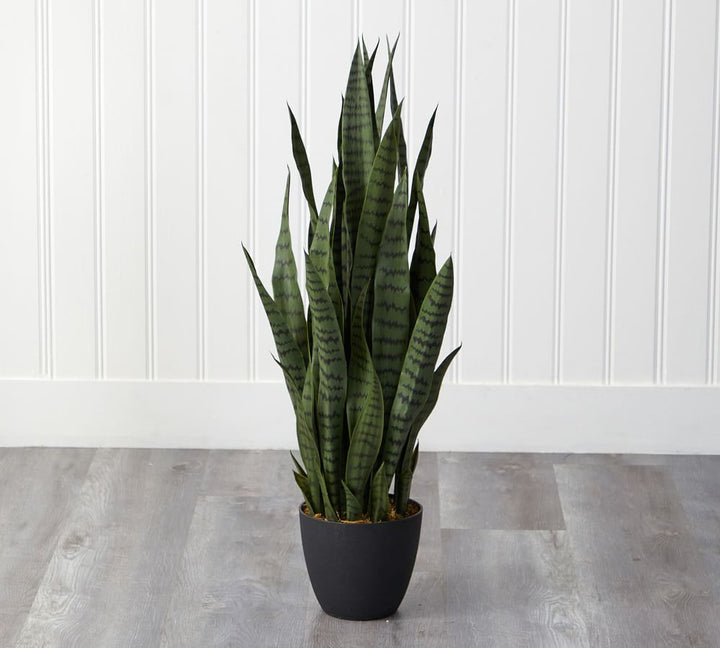 Sansevieria Faux Plant