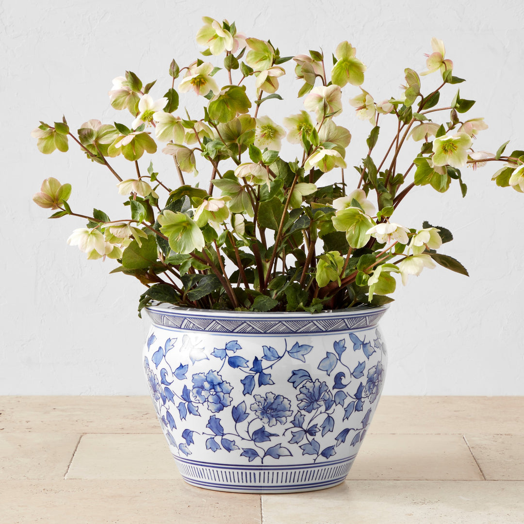 Blue & White Ceramic Planter Large