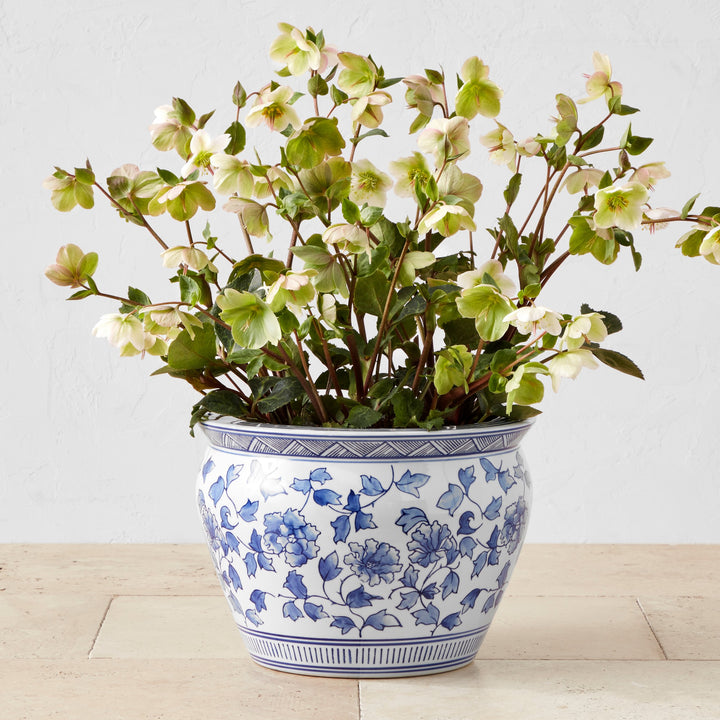 Blue & White Ceramic Planter Large