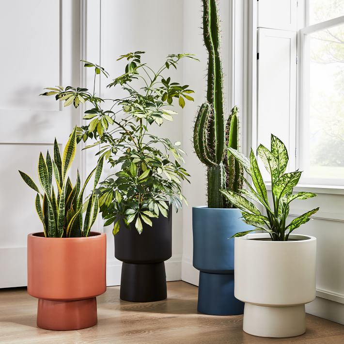 Bishop Indoor Outdoor Pedestal Planters