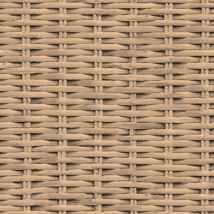 Rattan Storage Chest