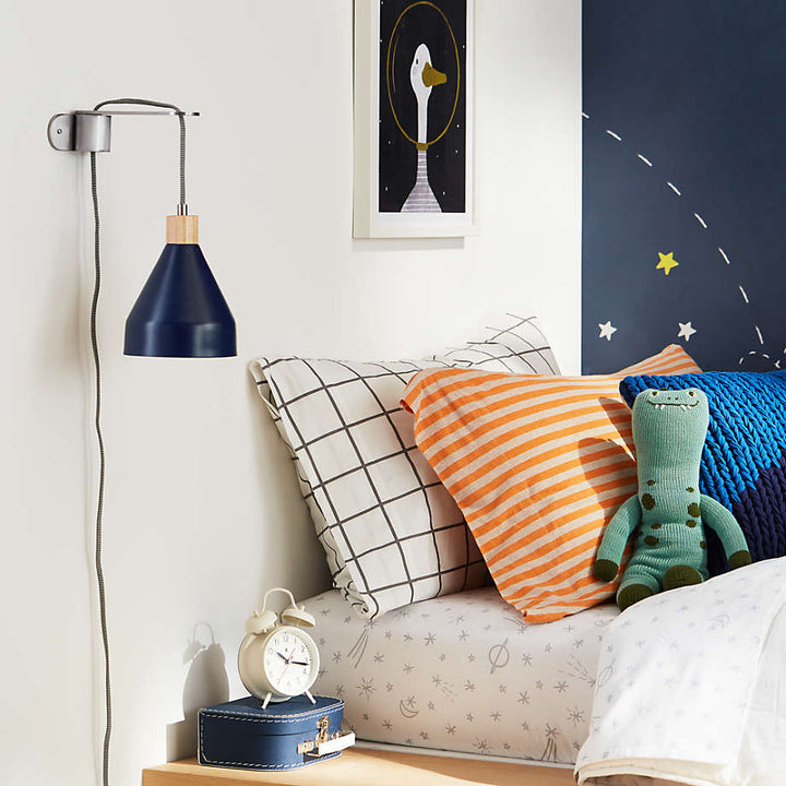 Space Goose Wall Art With Frame