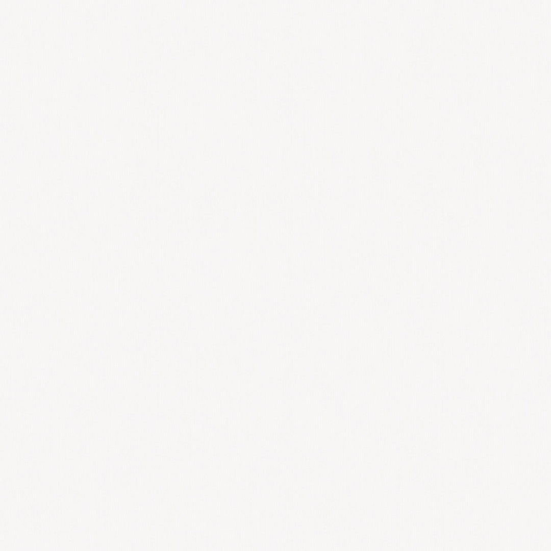 European Flax Linen Duvet Sham Set of 2-King