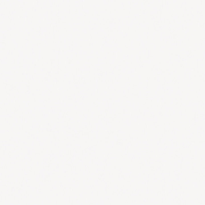 European Flax Linen Duvet Sham Set of 2-King