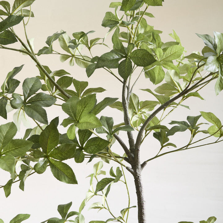 Faux Potted Quince Leaf Tree Only Plant