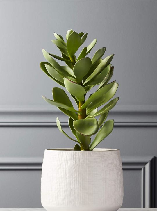 Potted Faux Succulent White Pot 14"