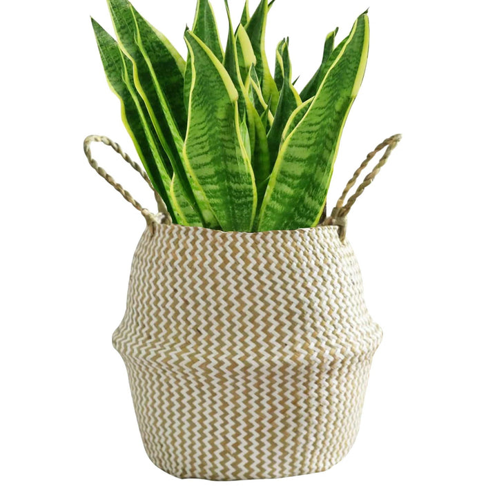 Natural Craft Seagrass Belly Basket