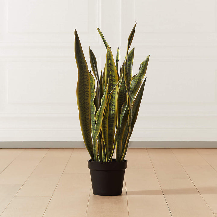 Faux Snake Plant