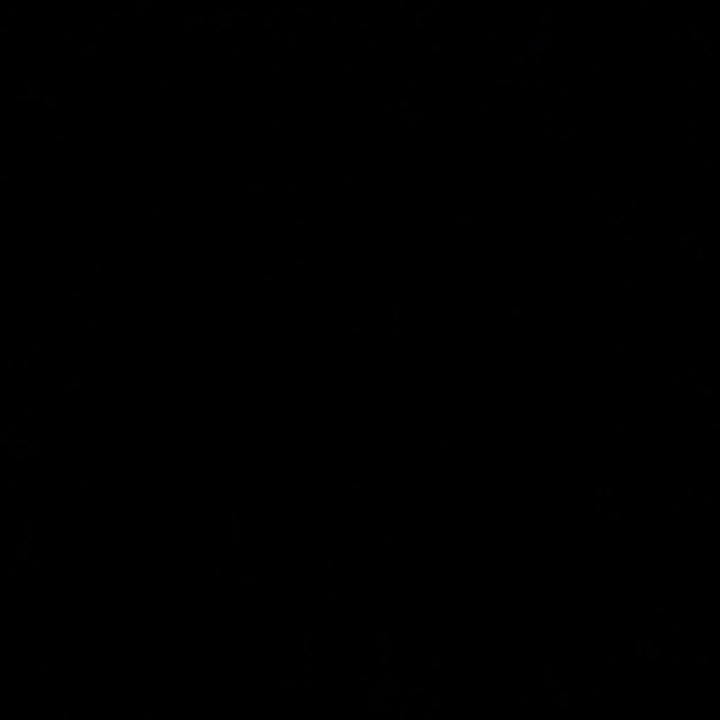 Ariauna Bolster Pillow With Insert 21"x8" (Set of 2)