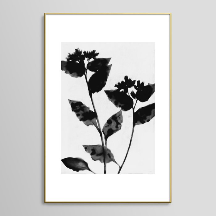 Black and White Moody Floral Framed Art Print with frame-24"x36"