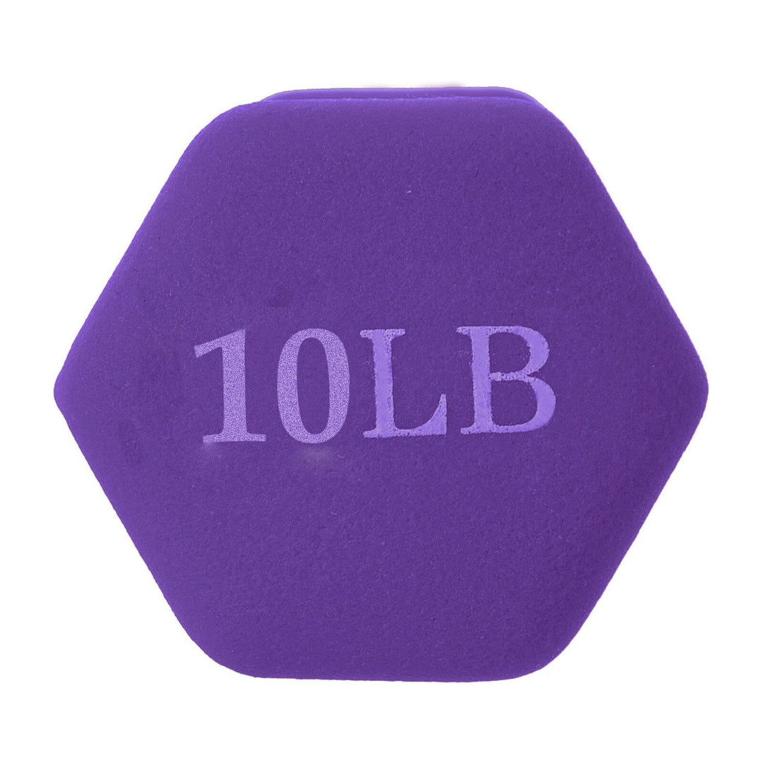 Barbell All Purpose Dumbbells Set Of 2