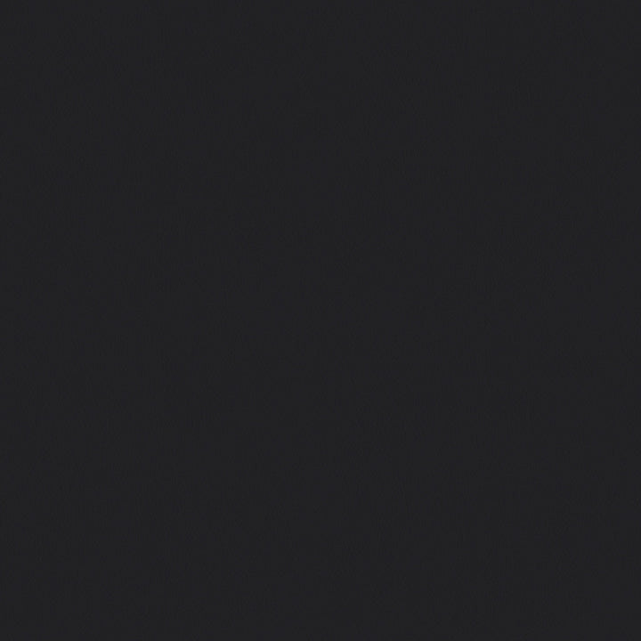 Criss Faux Leather Solid Wood Flip Top Storage Bench