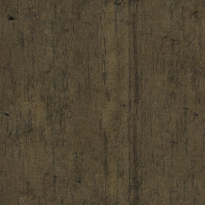 Artifical Cream Magnolia Stem Set of 3