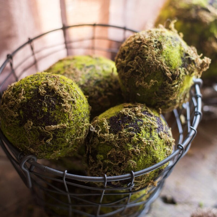 Everton Decorative Moss Ball