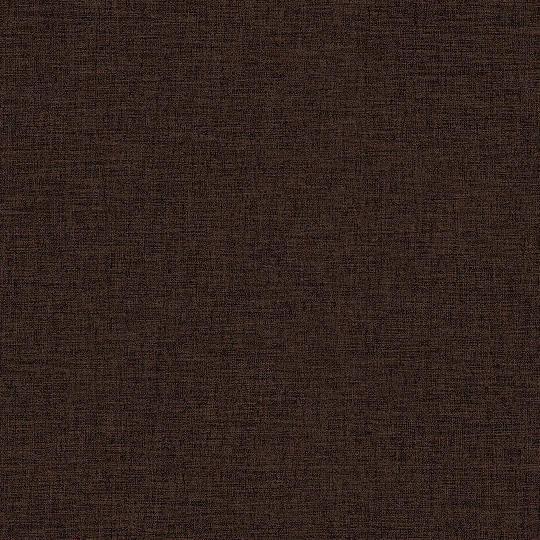 RAJ DARK BROWN SILK THROW PILLOW WITH DOWN ALTERNATIVE INSERT 20''