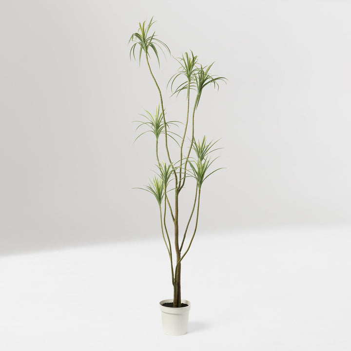 Faux Potted Dracaena