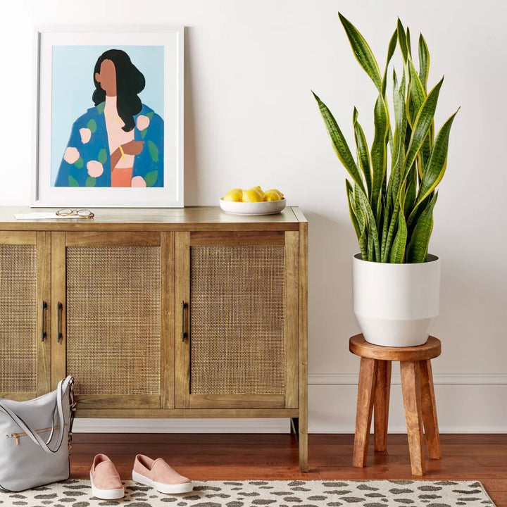 Warwick 3 Door Accent TV Stand for TVs up to 59"