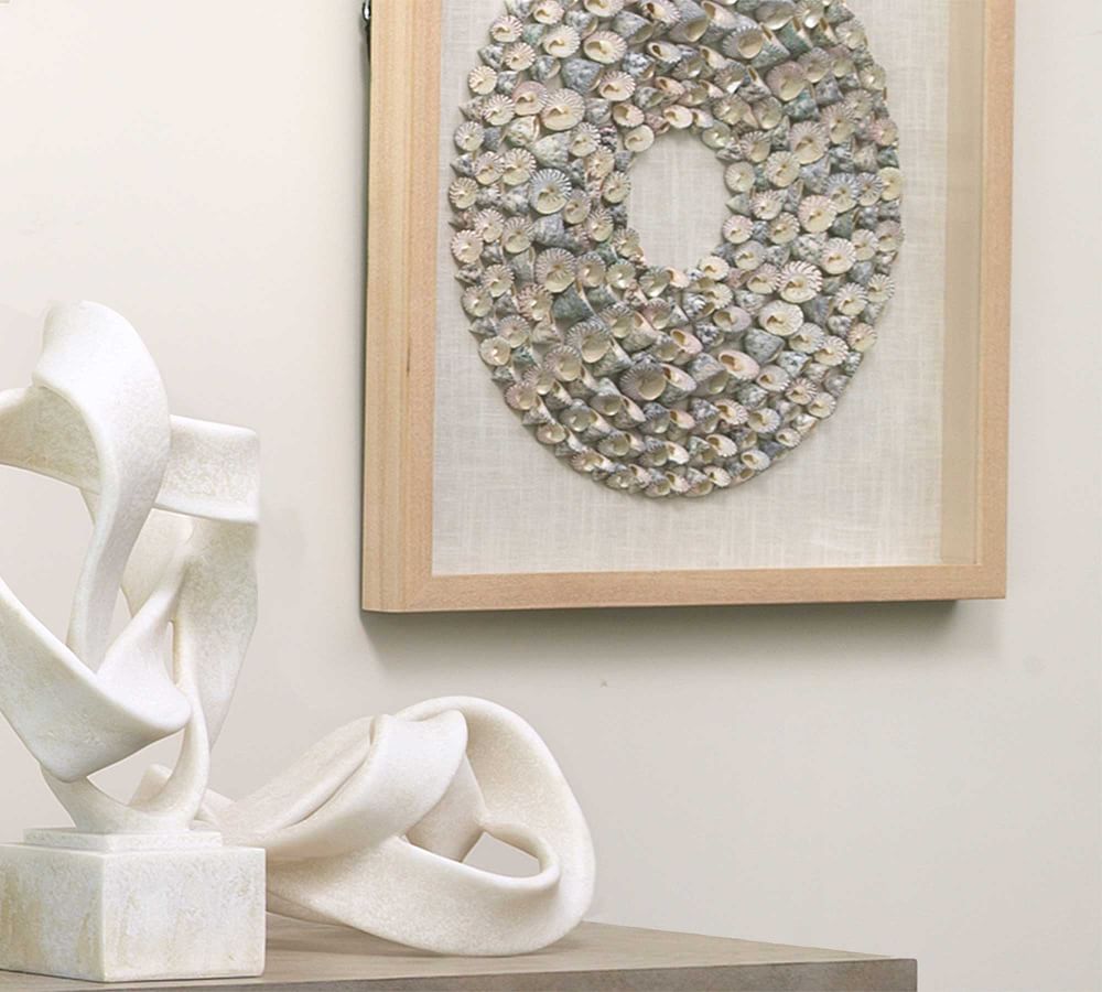Trochidae Shell Shadow Box Wall Art With Frame