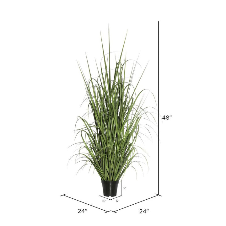 Floor Foliage Grass in Pot