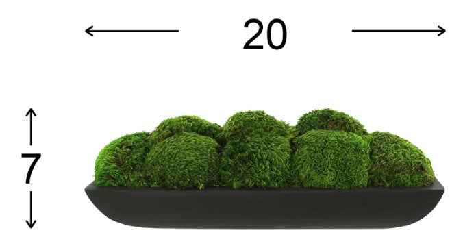 Preserved Moss Arrangement In Oblong Planter