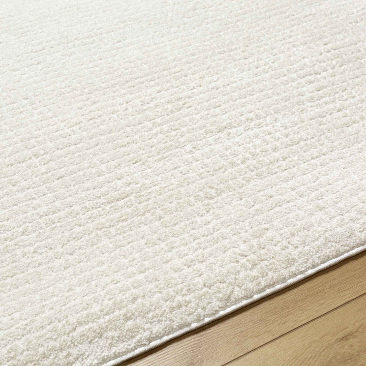 Arny Solid Color Rug-7'10x10'