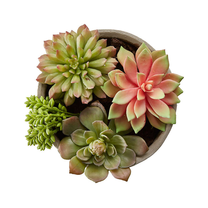 Artificial Succulents in Low Round Pot