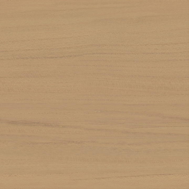 HOMECHO Accent Cabinet