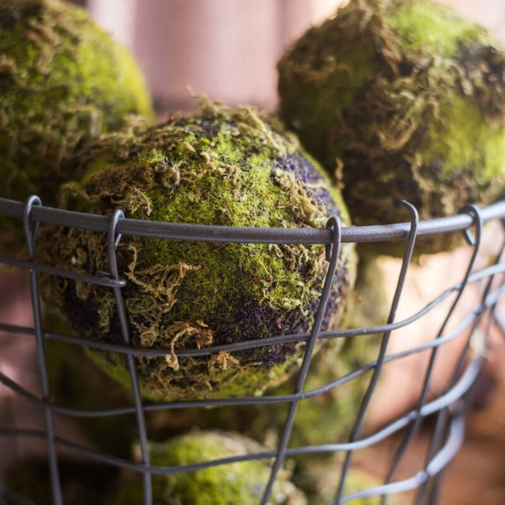 Everton Decorative Moss Ball