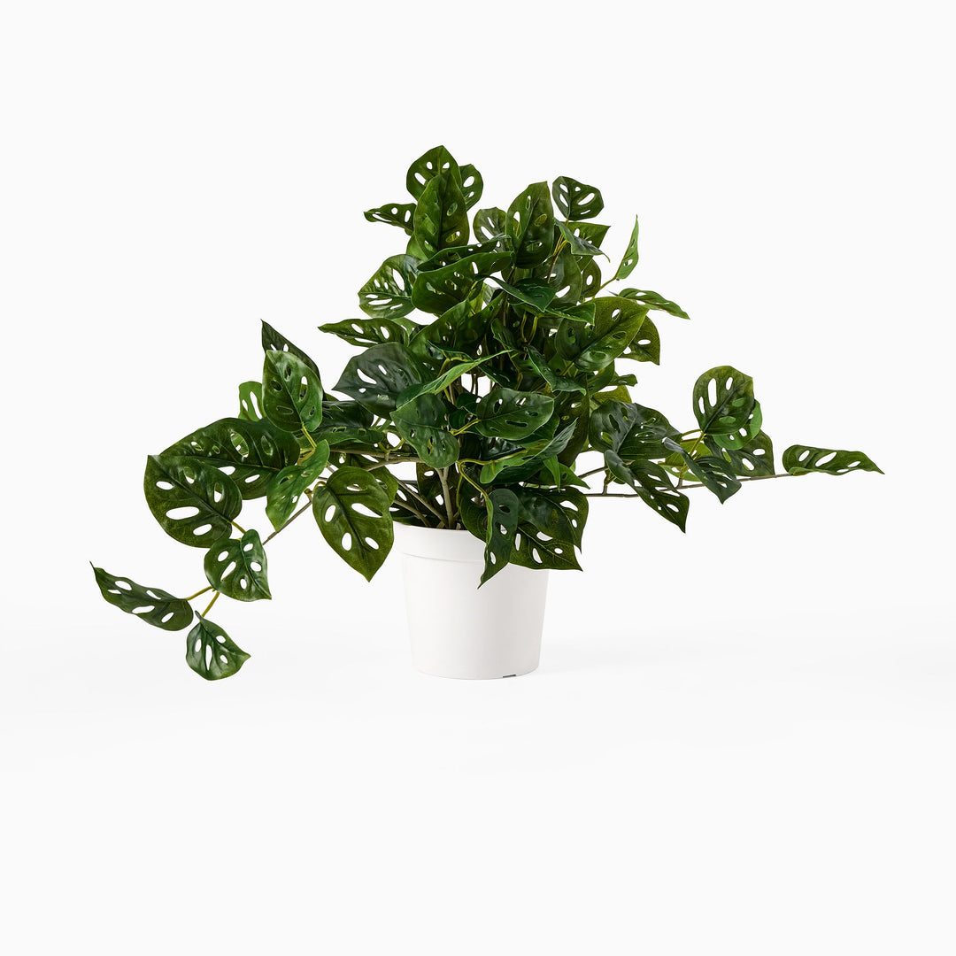 Faux Potted Trailing Monstera Plant