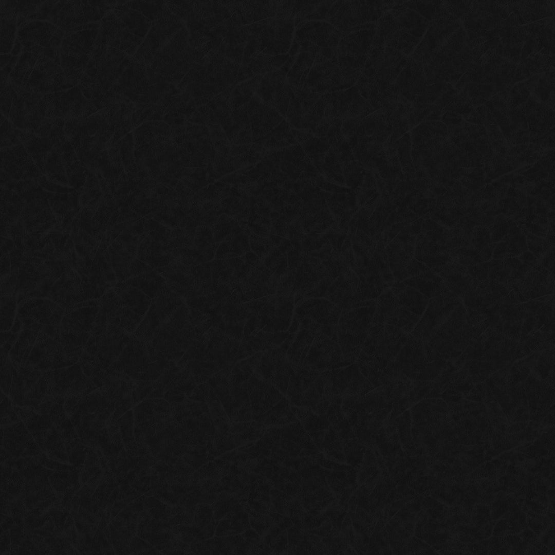 Schrader Upholstered Side Chair Set of 2