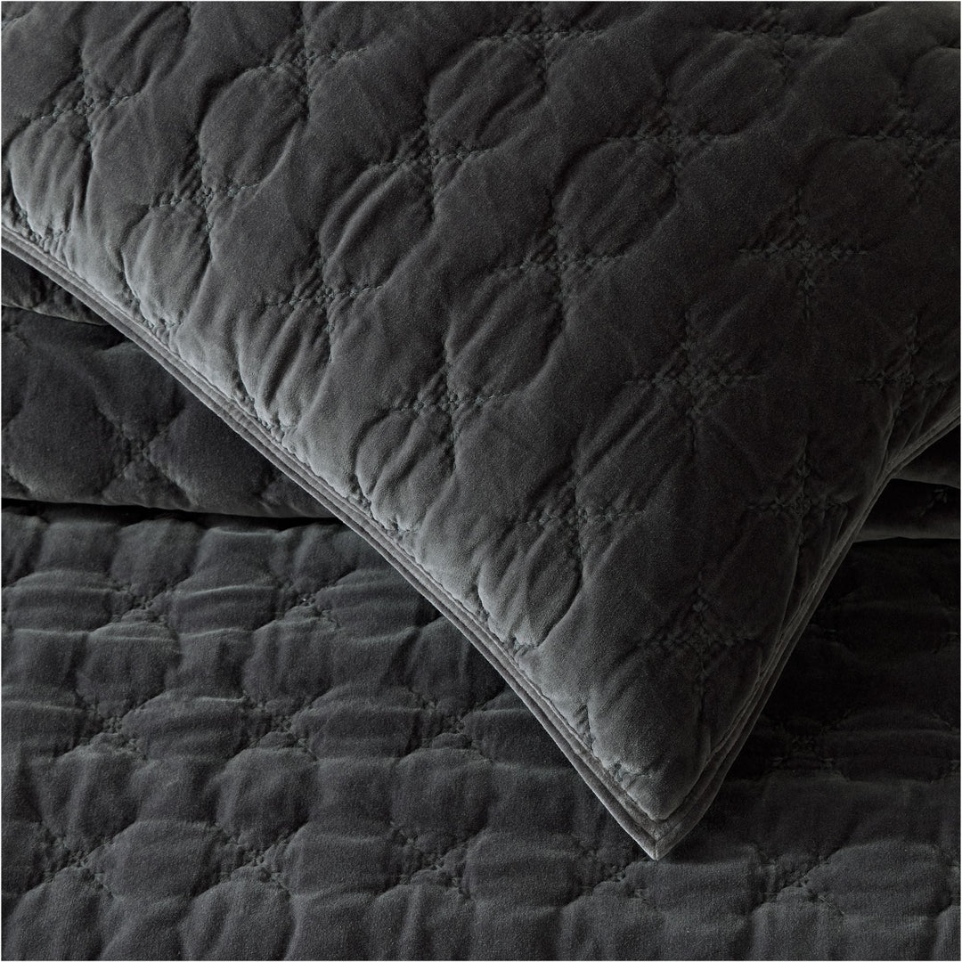 Embroidered Washed Velvet Quilt & Shams