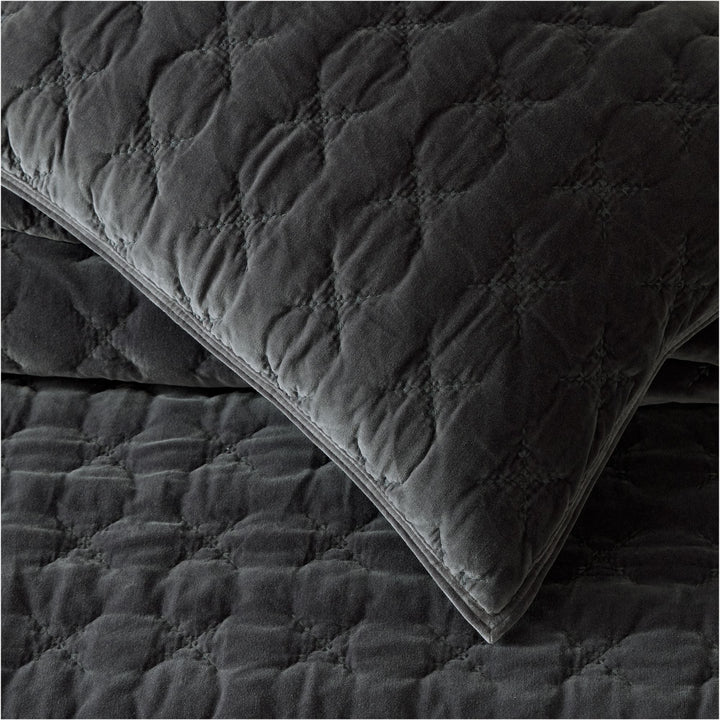 Embroidered Washed Velvet Quilt & Shams