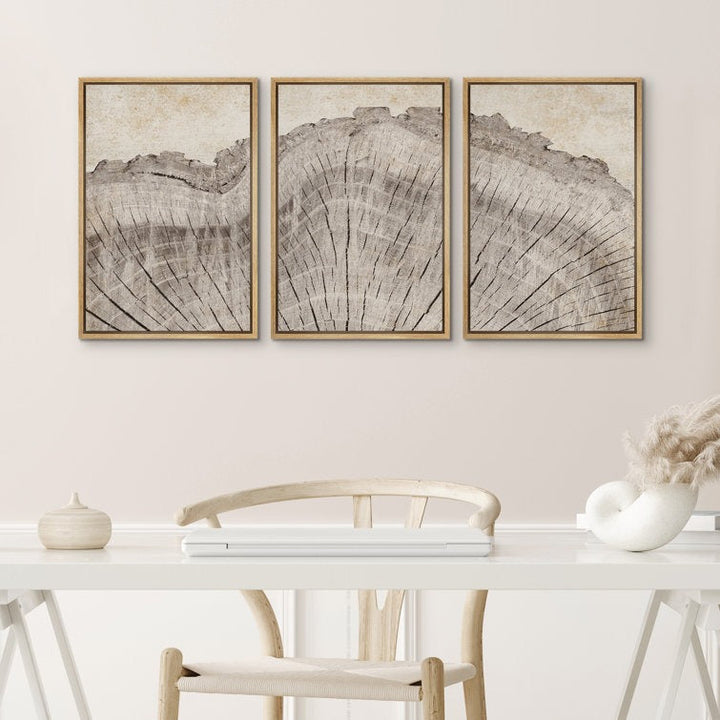 Tree Ring Rustic Oak Wood Farmhouse Decor Neutral Modern Organic Framed Canvas 3 Piece Print Art