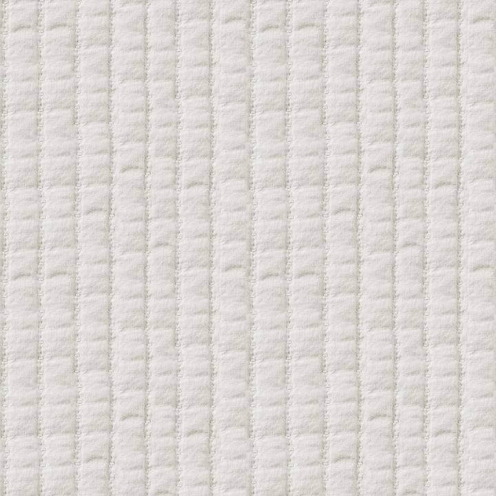 SHADOW IVORY VELVET KING PILLOW SHAMS