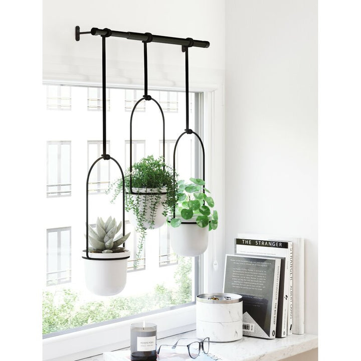 Triflora Hanging Planter