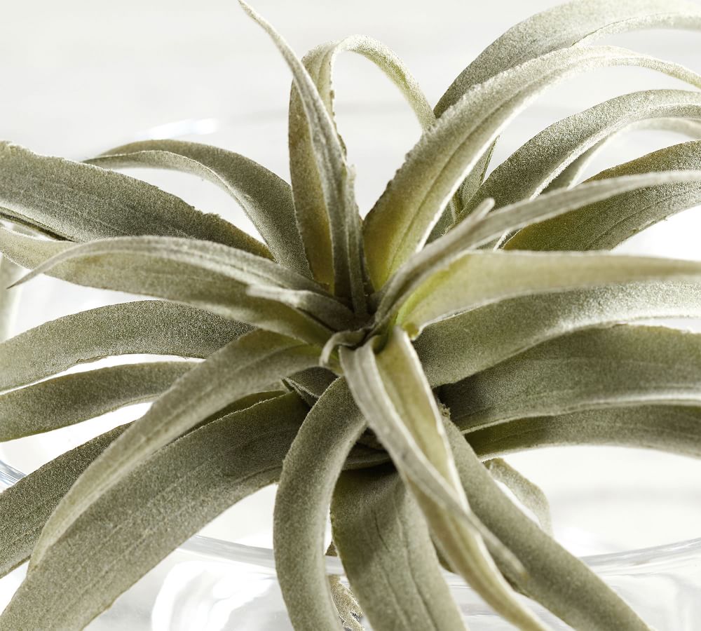 Faux Tillandsia Succulent Stem