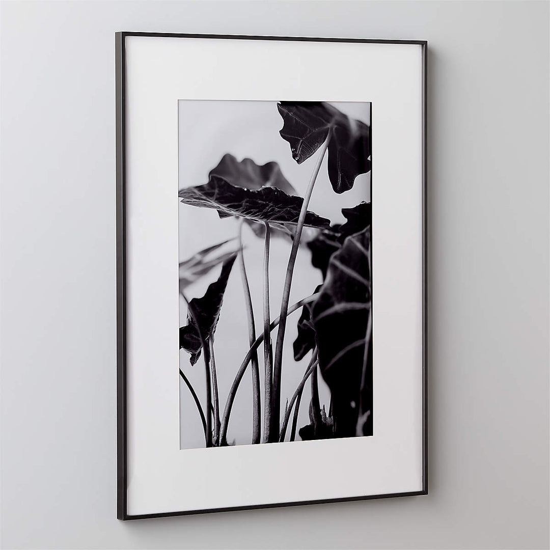 Gallery Black Picture With White Mat with frame 24"X36"