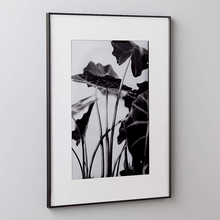 Gallery Black Picture With White Mat with frame 24"X36"