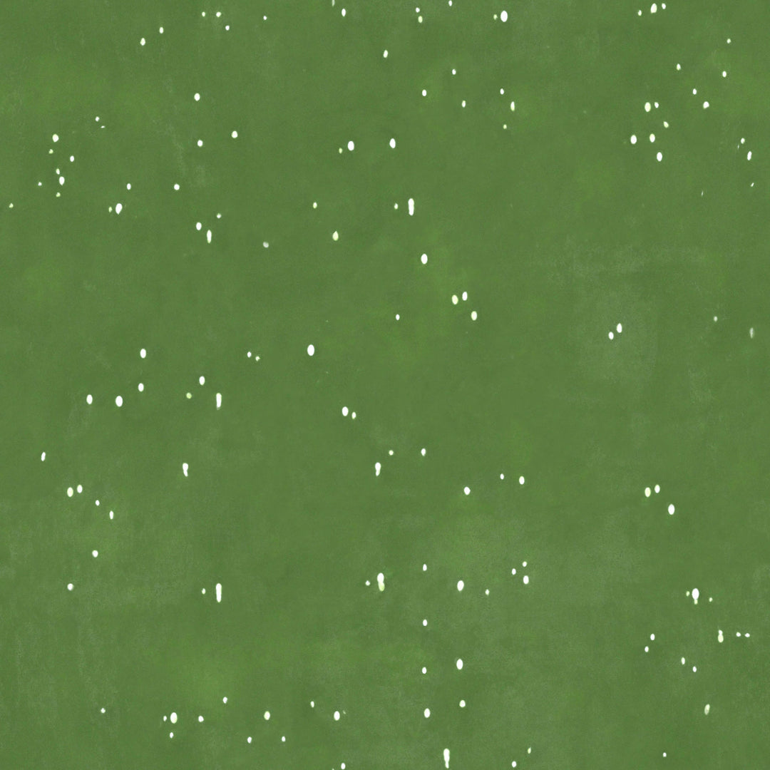 Shopsucculents Succulent Plant Desktop Plant in a Pot