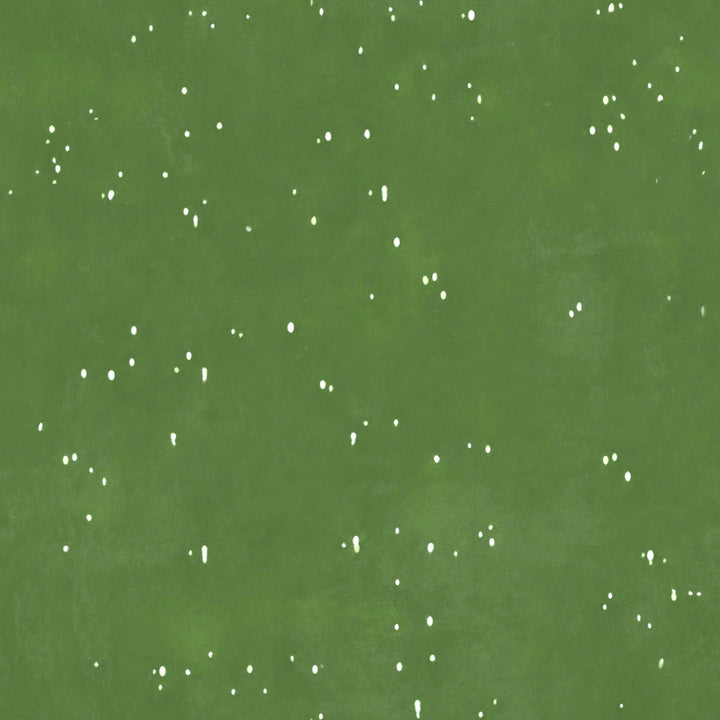 Shopsucculents Succulent Plant Desktop Plant in a Pot