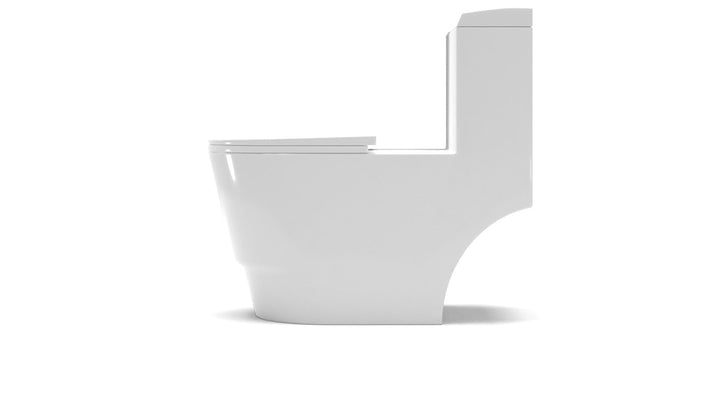 Dual Flush Elongated One Piece Toilet Seat Included
