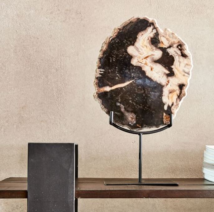 Petrified Wood Object on Stand