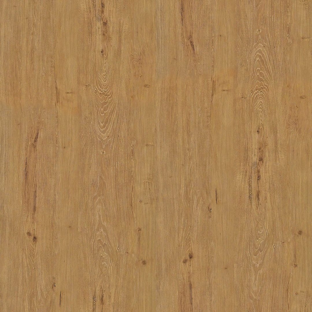 Anton Storage Coffee Table