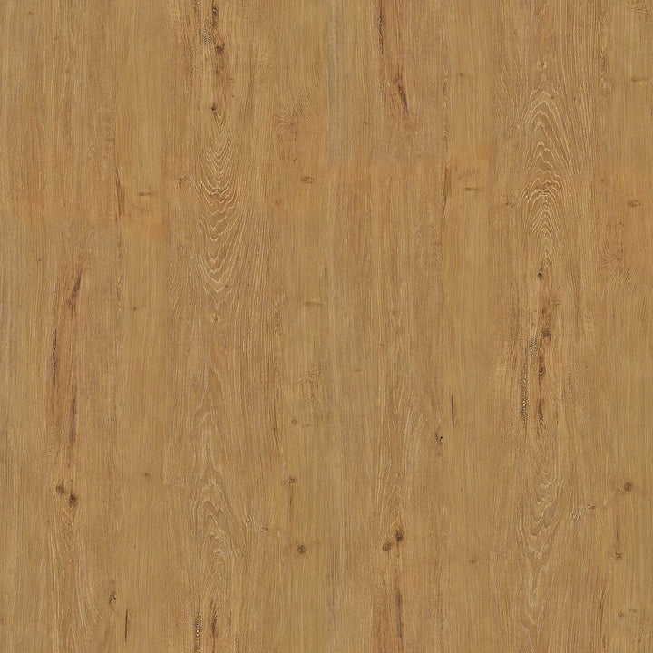 Anton Storage Coffee Table