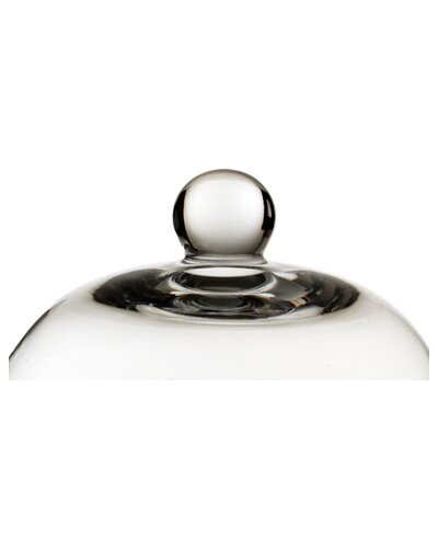 Clear Glass Dome Cloche