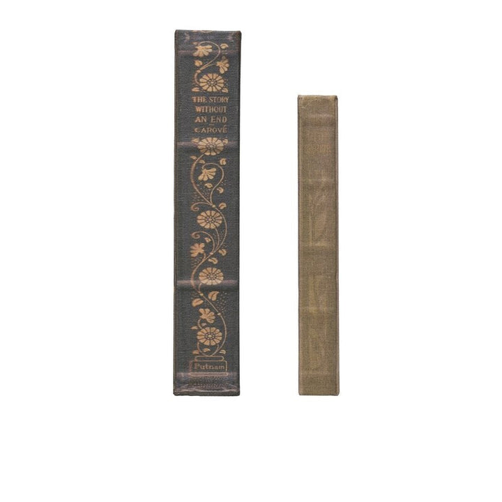 2 Piece Naccarato Decorative Book Set