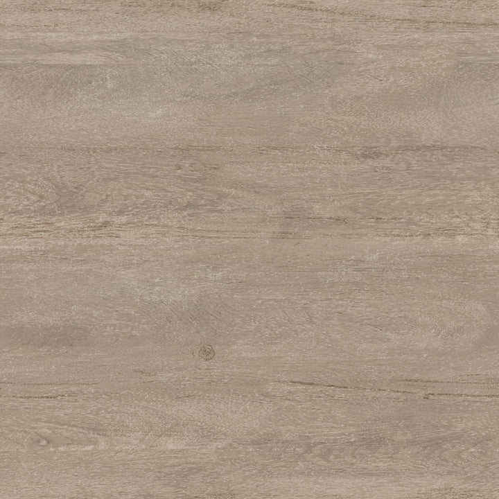 Indio Eucalyptus Modern Platform Modular Set Single