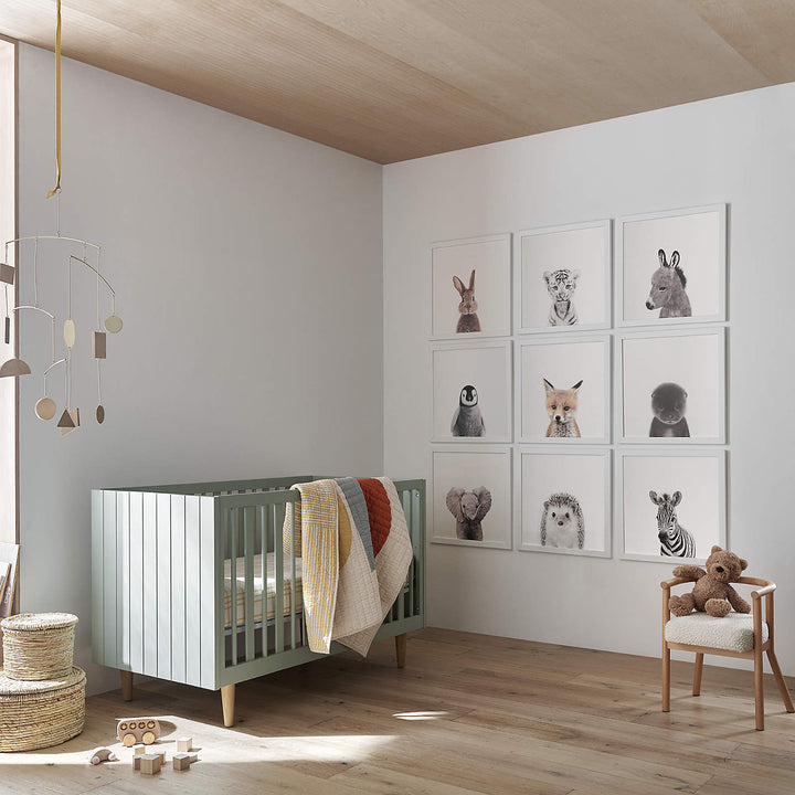 Baby Zebra Framed Wall Art-20"x20"