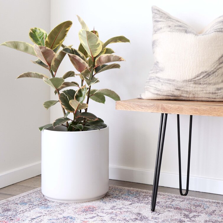 Porcelain Ceramic Pot Planter